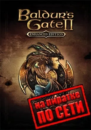 Baldur’s Gate 2 Enhanced Edition по сети