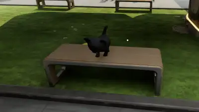 Screenshot 12