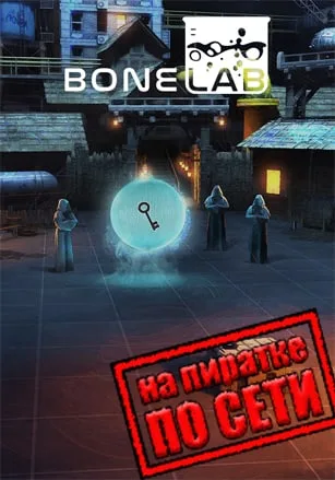 BONELAB по сети