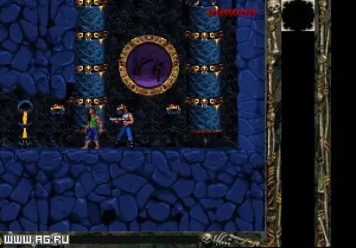 Screenshot 11