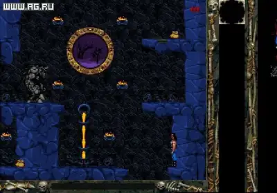 Screenshot 12