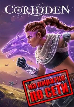 Coridden по сети
