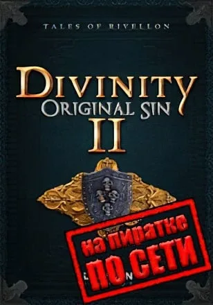 Divinity Original Sin 2 по сети