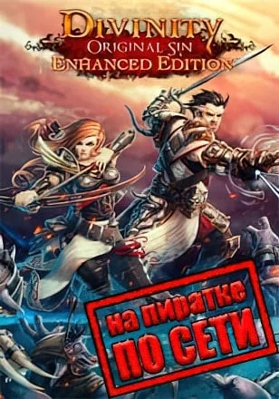 Divinity Original Sin Enhanced Edition по сети