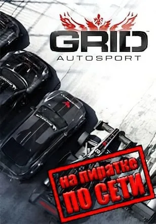 GRID Autosport по сети