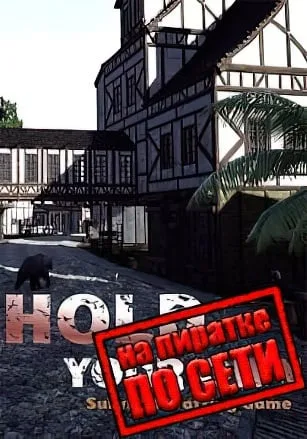 Hold Your Own по сети