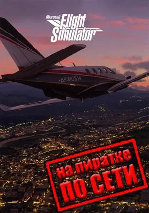 Microsoft Flight Simulator по сети