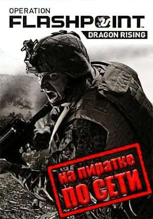 Operation Flashpoint: Dragon Rising по сети