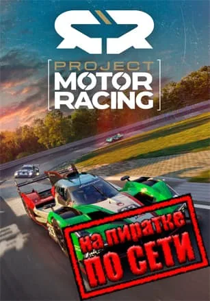 Project Motor Racing по сети