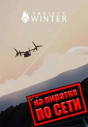 Project Winter по сети