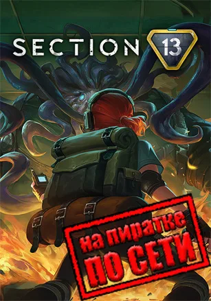 Section 13 по сети