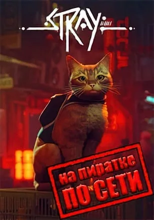 Stray по сети