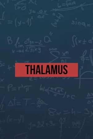 Thalamus