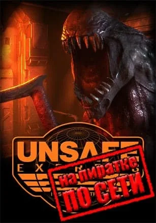 Unsafe Express по сети